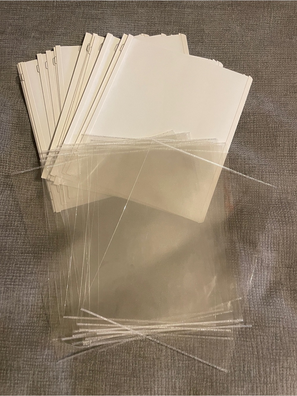 Creative Memories 8x10 Pages and Protectors
